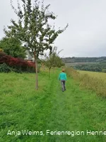 Schaukelweg Ostwig, über einen Wiesenweg